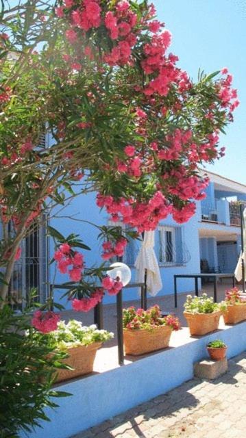 Villa Pischinas Magomadas Buitenkant foto