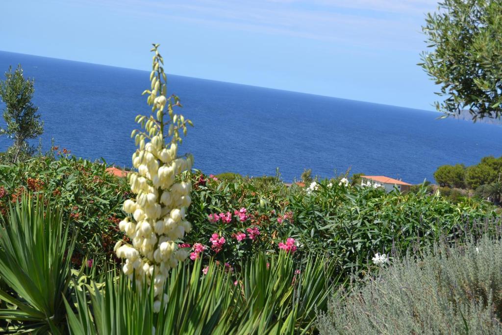Villa Pischinas Magomadas Buitenkant foto